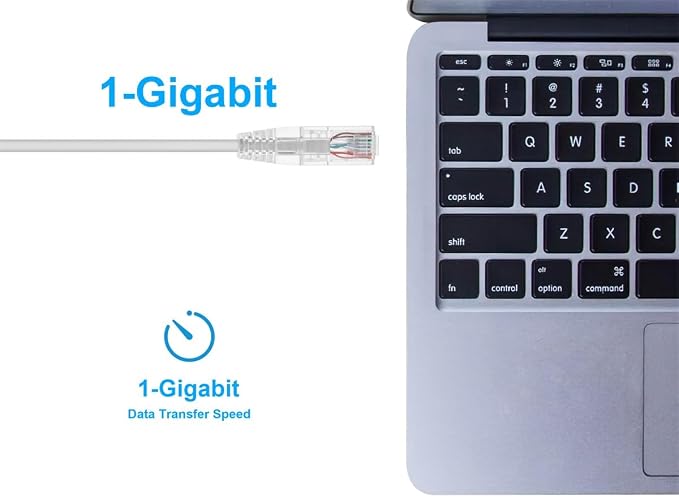 Monoprice Cat6 Ethernet Patch Cable - Image 5