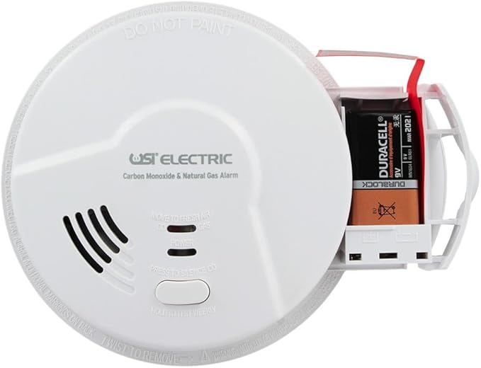 Natural Gas and Carbon Monoxide Detector - Image 3