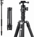 Fotopro 73" Carbon Fiber Tripod by Fotopro