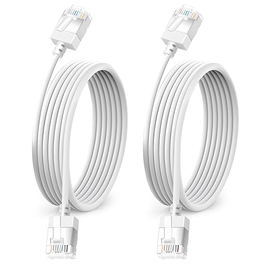 Ultra Thin Cat 6A Ethernet Cable 3.3 Feet 2Pack, Flexible & Slim Rj45 Cat6a LAN by DUTEVOLNS