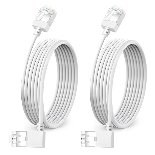 Ultra Slim 90° Degree Cat 6A Ethernet Cable Left Angled 30 Feet 2Pack, 10Gbps by DUTEVOLNS