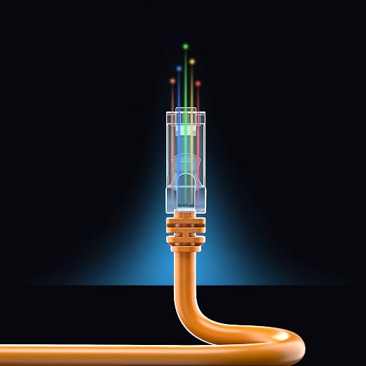 Maximm Cat 6 Ethernet Cable 30 ft - Image 8