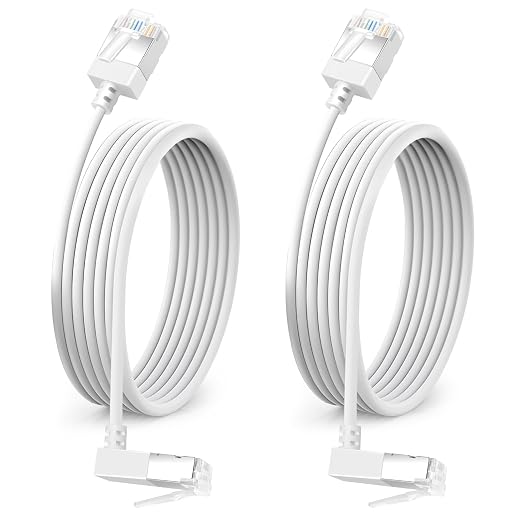 90° Downward Angled Cat 6A Ethernet Ultra Slim Cable 1.6 Feet 2Pack, Flexible by DUTEVOLNS