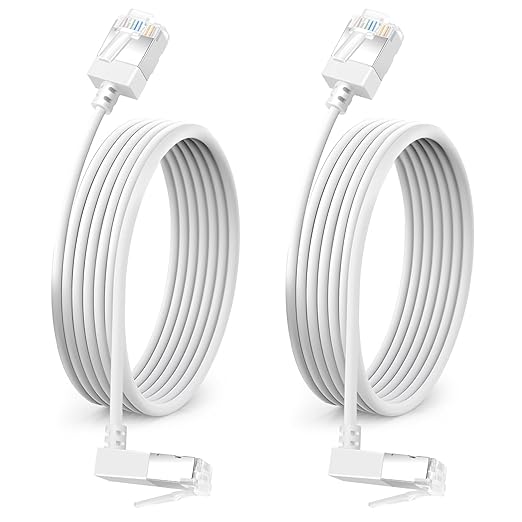 90° Downward Angled Cat 6A Ethernet Ultra Slim Cable 25 Feet 2Pack, Flexible by DUTEVOLNS
