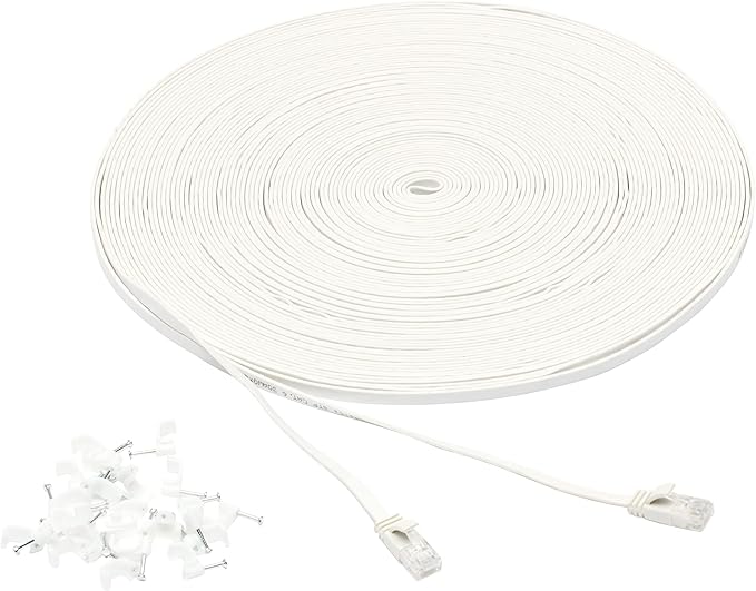 Amazon Basics Cat 6 Ethernet RJ45 10Gbps Flat Network Cable, 100ft Snagless by AmazonBasics