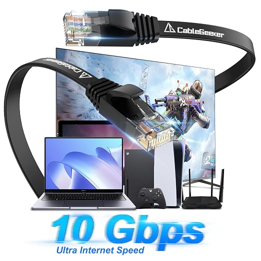 Cat 6 Ethernet Cable 100 ft, Indoor&Outdoor, High Speed 10Gbps Internet Network - Image 2