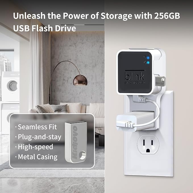 256GB Blink USB Flash Drive & Wall Mount - Image 2