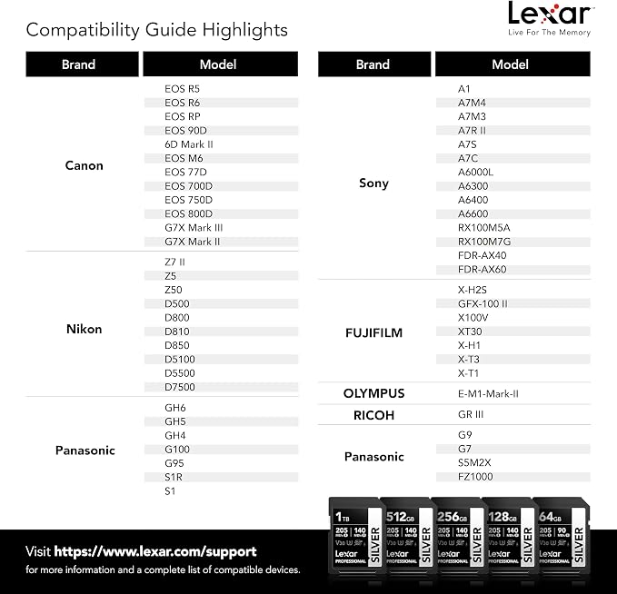 Lexar 256GB Professional Silver SD Card, - Image 8