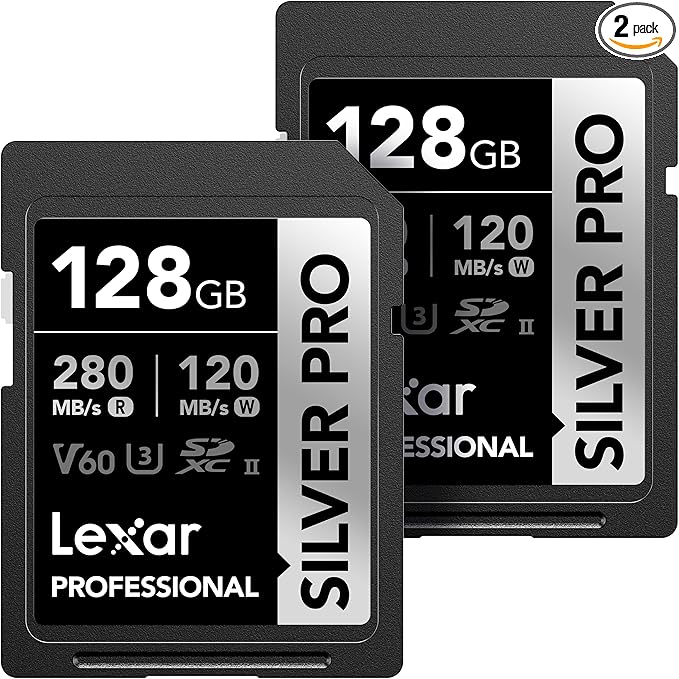 Lexar 128GB Professional Silver PRO SD Card, Full HD, by Lexar